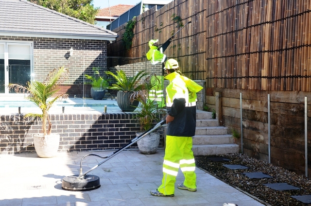 Fence Cleaning